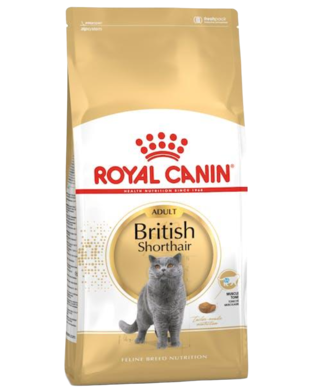 Royal canin רויאל קנין לחתול בריטי