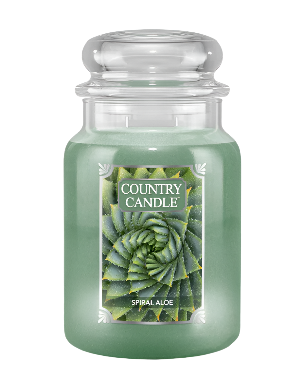 נר סויה "Spiral Aloe" | נר סויה במהדורה מוגבלת