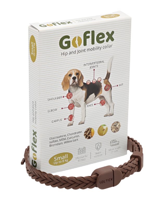 Goflex לכלב – קולר לבעיות מפרקים לכלב קטן