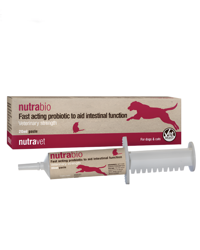 נוטרה-וט משחת פרוביוטיקה מהירת פעולה 20 מ"ל