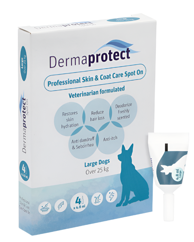 DermaProtect לכלב – אמפולות לנשירה וטיפוח פרווה