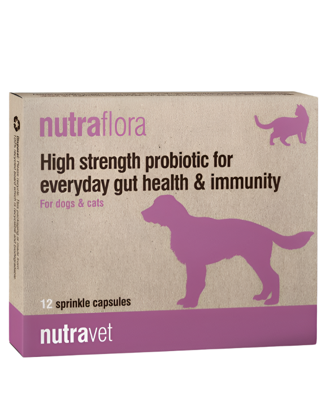 נוטרה-וט קפסולות פרוביוטיקה (12 קפסולות)