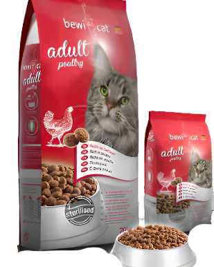 Bewi cat בווי קאט עוף לחתול בוגר