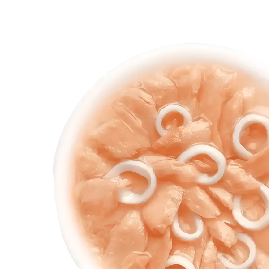 מעדן פאוץ' Cat Fest – נתחי סלמון וקלמרי בג'לי | 70 גרם