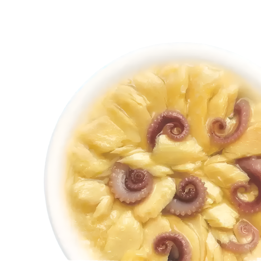 מעדן פאוץ' Cat Fest – נתחי סלמון ותמנון בג'לי | 70 גרם