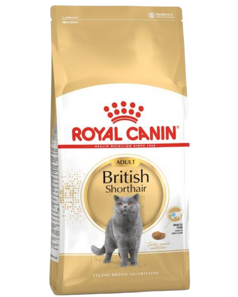 Royal canin רויאל קנין לחתול בריטי
