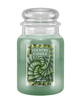 נר סויה "Spiral Aloe" | נר סויה במהדורה מוגבלת