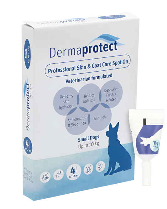 DermaProtect לכלב – אמפולות לנשירה וטיפוח פרווה